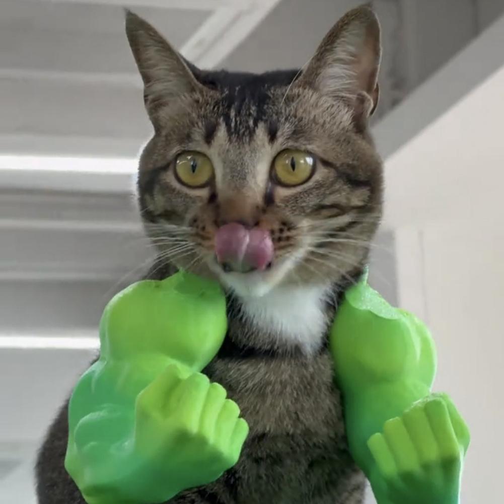 Cat Muscle Arm 3D Printed Cat Neck Hanging Decorative Toy with Muscles Cosplay for Kitten Party Halloween Costume Accessories