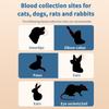 Precise Care, One Drop In Place - Animal Blood Glucose Meter with 50 Test Strips