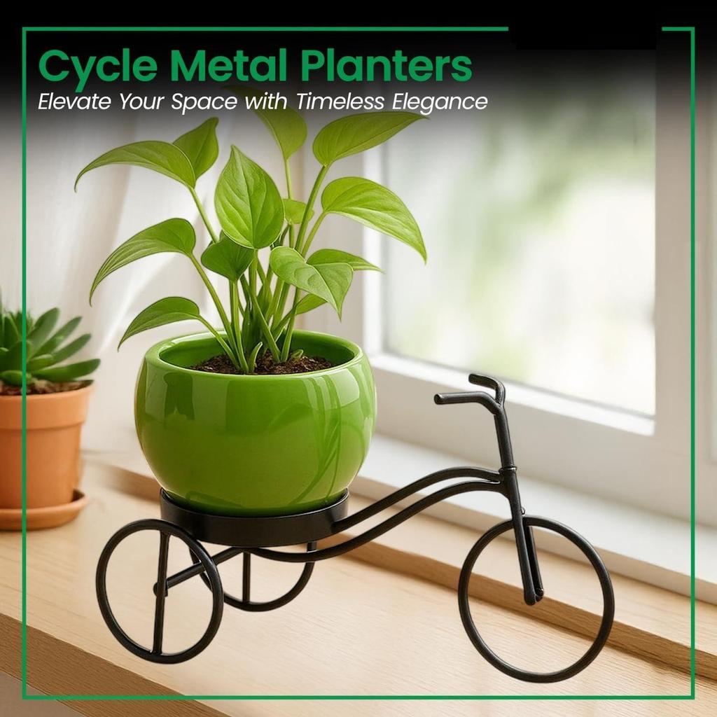 Sykkelformet metall plantestativ for innendørs og utendørs bruk, metall sykkel blomstervase, dekorativ jern plantepotteholder for blomster og ornamenter