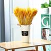 Wheat and Barley Dried Flower Bouquet for Living Room Decor and Photography Props
