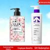 Little Arrow Repair Shampoo & Lux Hand Wash Bundle
