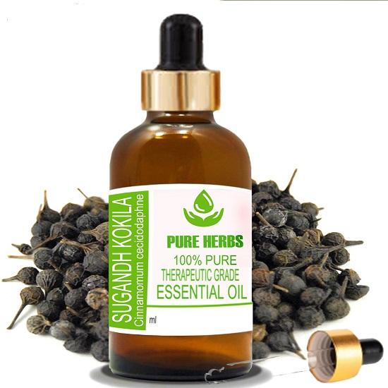 

Pure Herbs sugandh kokila (Cinnamomum glaucescens) Pure & Natural Therapeutic Grade Essential Oil Glass 5 ml