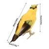 Garden Artificial  Ed Animal Ornament Simulation Oriole Bird Model Art Outdoor Decor