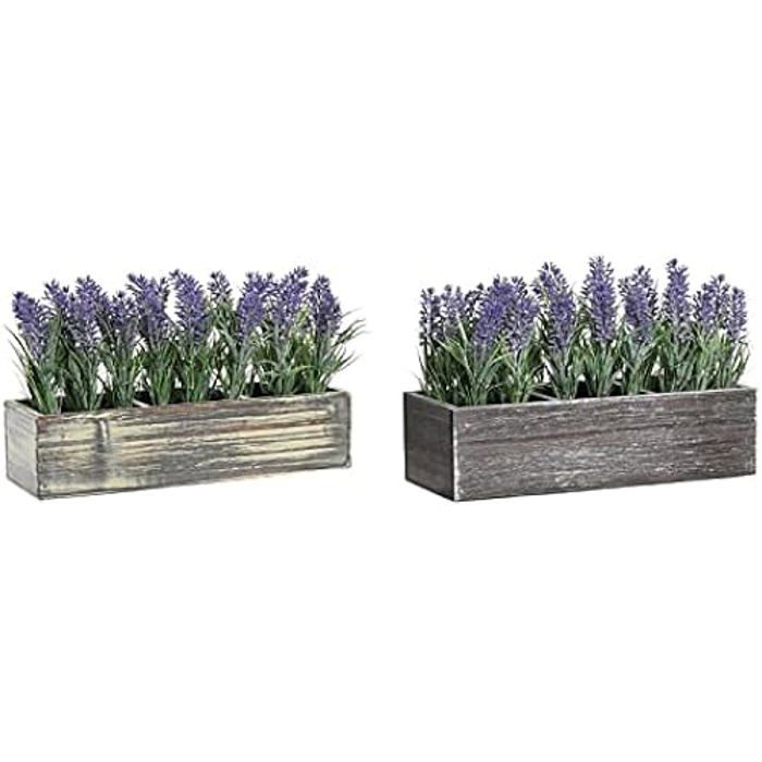 Plante décorative - DKD HOME DECOR - Estándar - Bois et polyéthylène - Vert et lilas - 23x66x68 cm