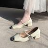 Fashion 2025 Hot Sale Mary Janes Women's High Heels Square Toe Chunky Heels Classics Daily & Office Pumps Women Shallow Slip On Shoes