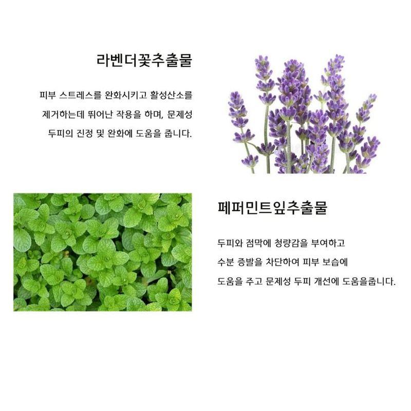 LEBELAGE - Perfect Repair Shampoo