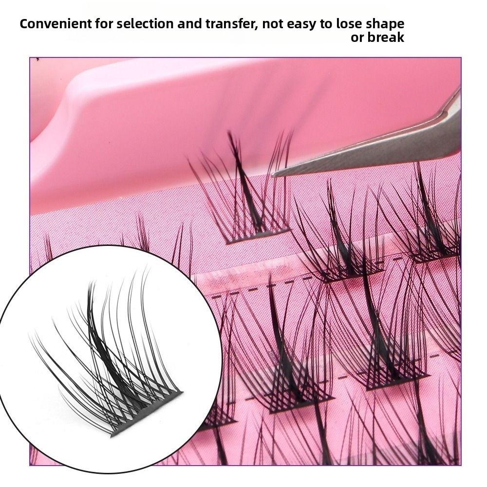 Soft PBT Material Individual Lash Clusters Mixed Length Peacock Fish Lashes For Beginner