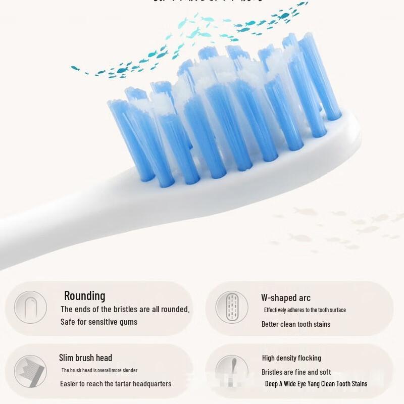 QBM Adult Sonic Electric Toothbrush