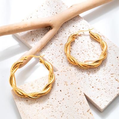 European and American Style Fashion Two-strand Line Twist Twist Stainless Steel Earrings Simple Women's 18K Retro Titanium Steel Earrings