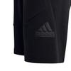 Adidas Childrens/Kids Future Icon Logo Shorts