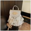 2025 Spring and Summer High-end Niche Design Trend Versatile College Students In Class Portable Backpack