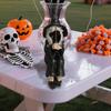 Halloween Witch Decor with Effect Enchanting Witch Statue Incense Burner Figurine Set for Home Decor Halloween for Kitchen
