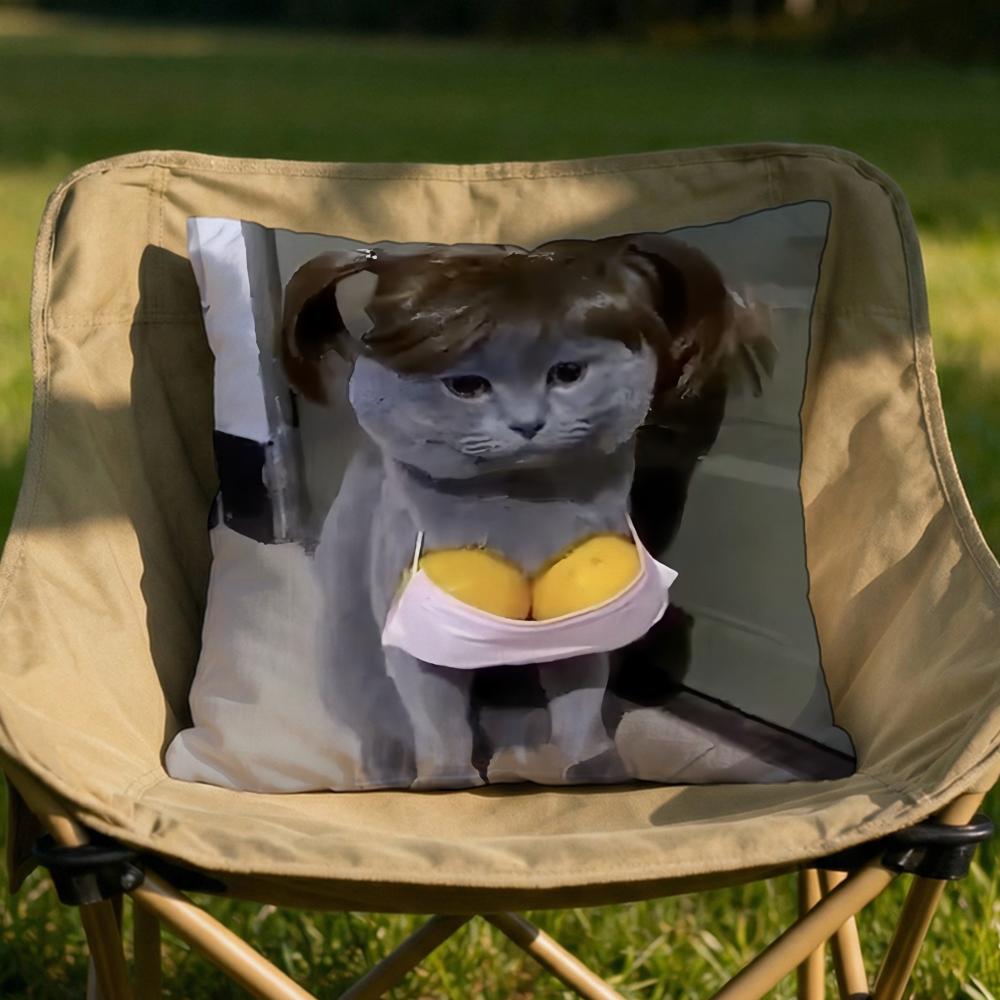 

Pet Cat Funny memes Cushion Cover Soft Reversible Durable Pillow Cover MultiScene Use for Home Car Daily Comfort 30x30cm