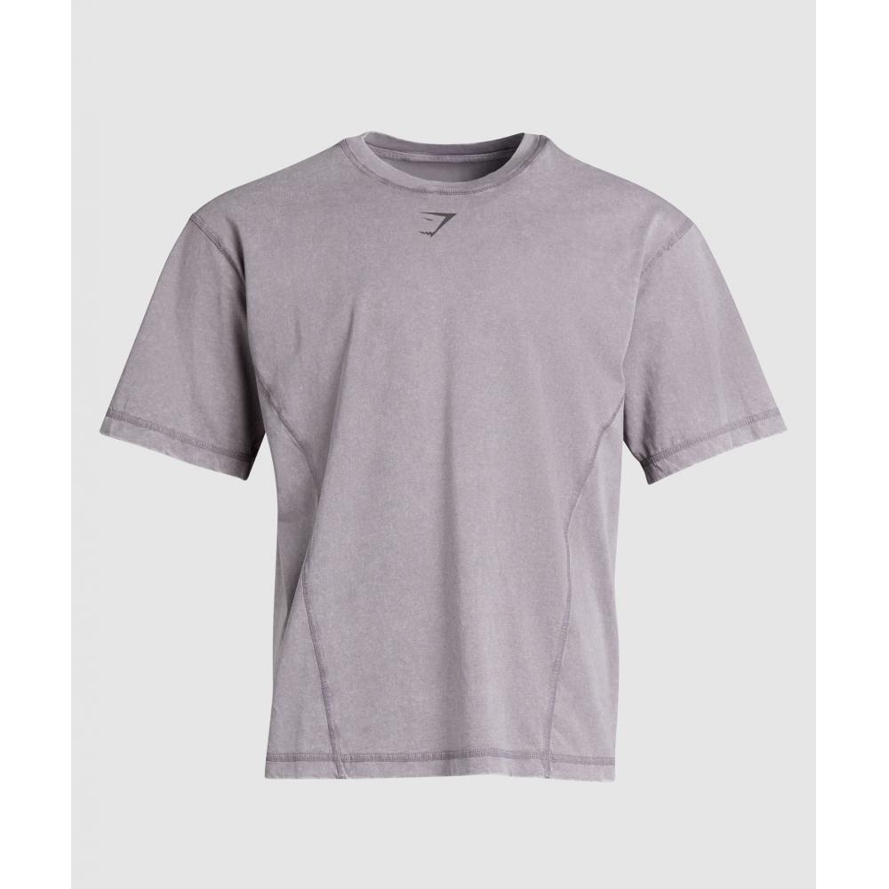 Gymshark HeriTage Washed T shirT Fog Purple A4a9h pbvT