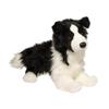 Douglas Chase Border Collie Zwart/Wit 16 (41 cm) Lang