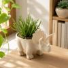 Desktop Decoration Dinosaur Flowerpot Funny Small Storage Animal Figurine Mini Flower Pot  Office
