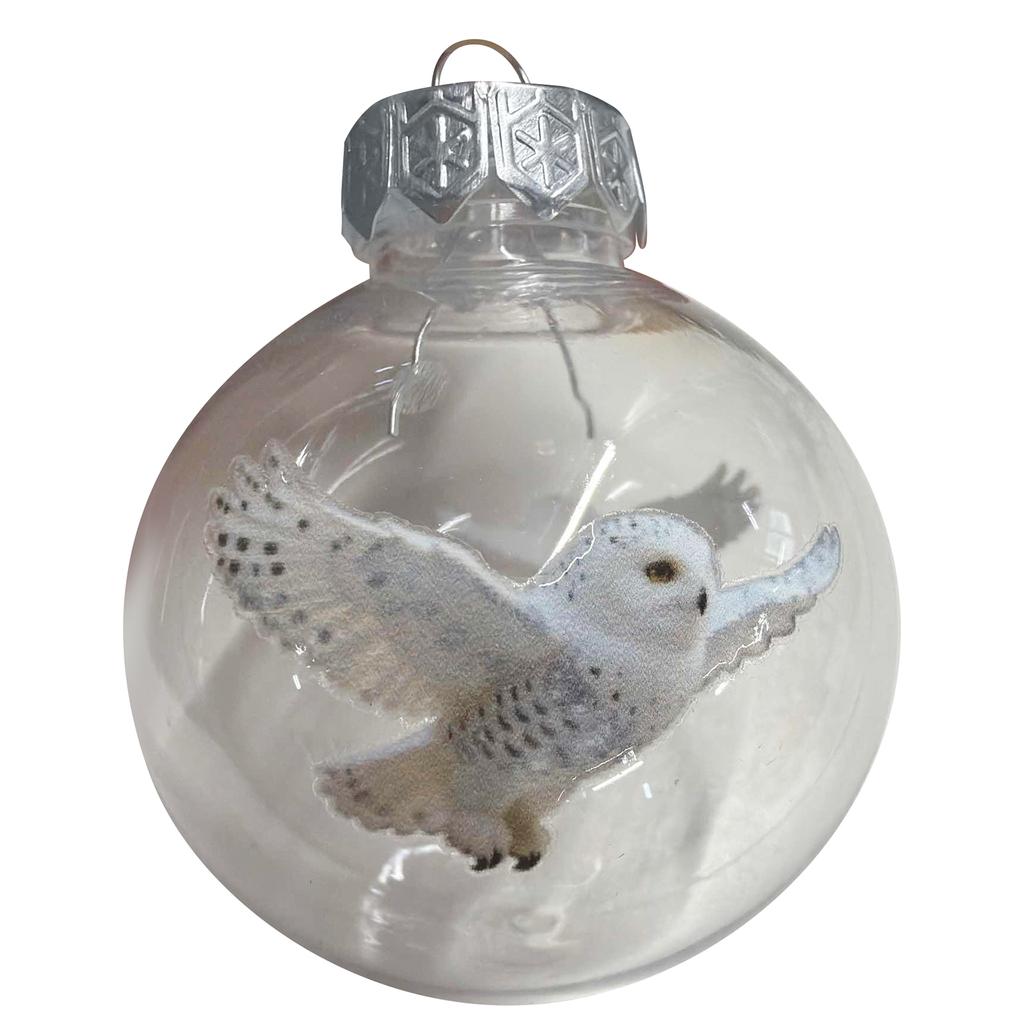Vögel der Natur Kristallglas Kugel Weihnachtsbaumschmuck Set Xmas Baum Hängender Anhänger für Feiertag Weihnachten Party Hausdekoration