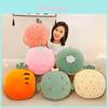 Fruit Plush Pillow With Warmth Blanket For Summer Relaxation And Office Comfort