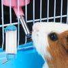 Anti-tip Ball Type Dog Water Dispenser Leak-proof Rabbit Drinking Bottle  Pet Cage