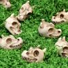 20Pieces Dragon Bone Skulls for Creative Halloweens Decoration and Spookys Event Planning