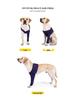 Dog Recovery Anti-Lick Sleeves: Post-Surgery, Bacteria & Insect Bite Protection for Pets