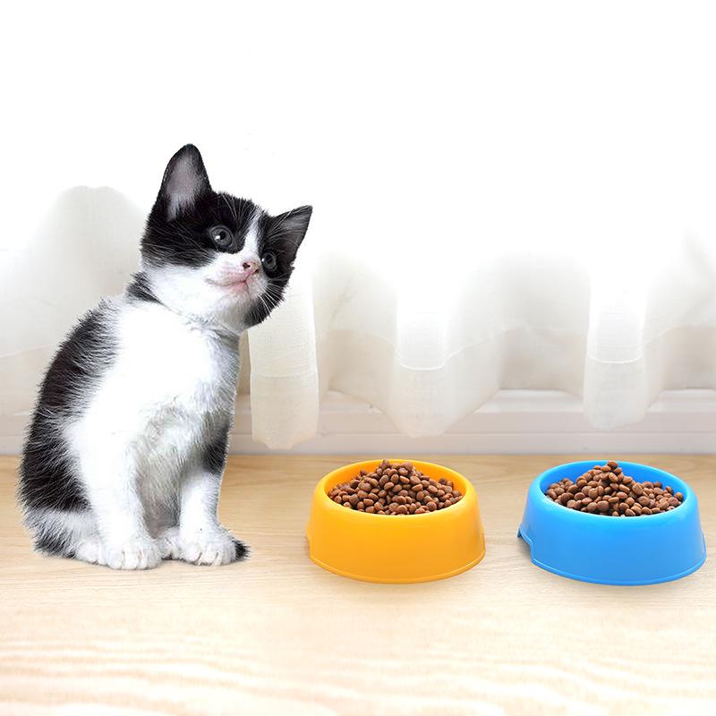 Candy Color Small Plastic Pet Single Bowl, Cat Bowl, Dog Utensils Single Bowl, Pet Supplies, Optional Color