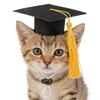Adjustable Pet Graduation Photo Props & Dress-up Mini Hat for Cats & Hamsters