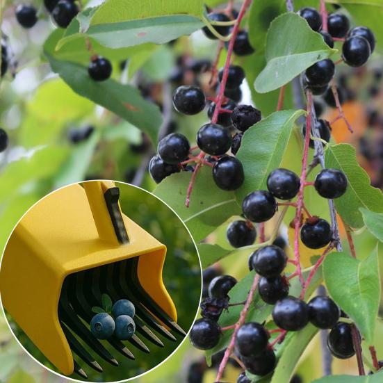 Greblă de afine cu mâner, greblă portabilă pentru fructe de pădure, instrument de cules fructe de pădure cu design de pieptene pentru recoltarea blândă a afinelor, afine roșii