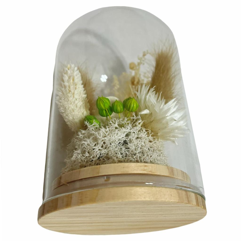 Q-FLA Dried Flower Dome Arrangement, White, Perfect for Gifts and Celebrations, 813566