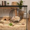 Ruota per Esercizio Hamster in Ferro Ruota da Corsa Resistente Nuova Ruota Fitness per Scoiattoli