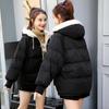 Cotton Clothes Women's Short Models New Student Bread Clothes Padded Jacket Winter Down Padded Jacket