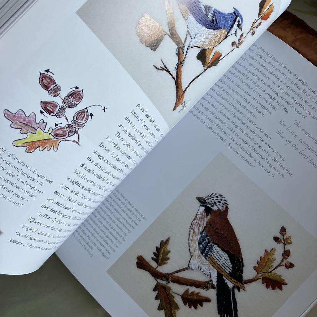 [USED] Books Embroidery EMBROIDERER'S YEAR Helen M. Steven