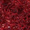 Duftende Wurmköder 50/100/200 Stück Weiche Simulations-Regenwurmköder Garnelen-Köder Künstliche Blutwürmer für Süßwasser-Salzwasser-Set