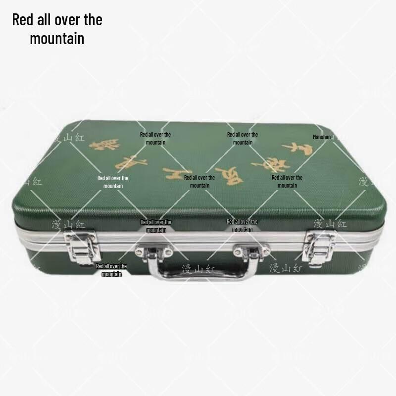 Mechanic s Heavy-Duty Toolbox