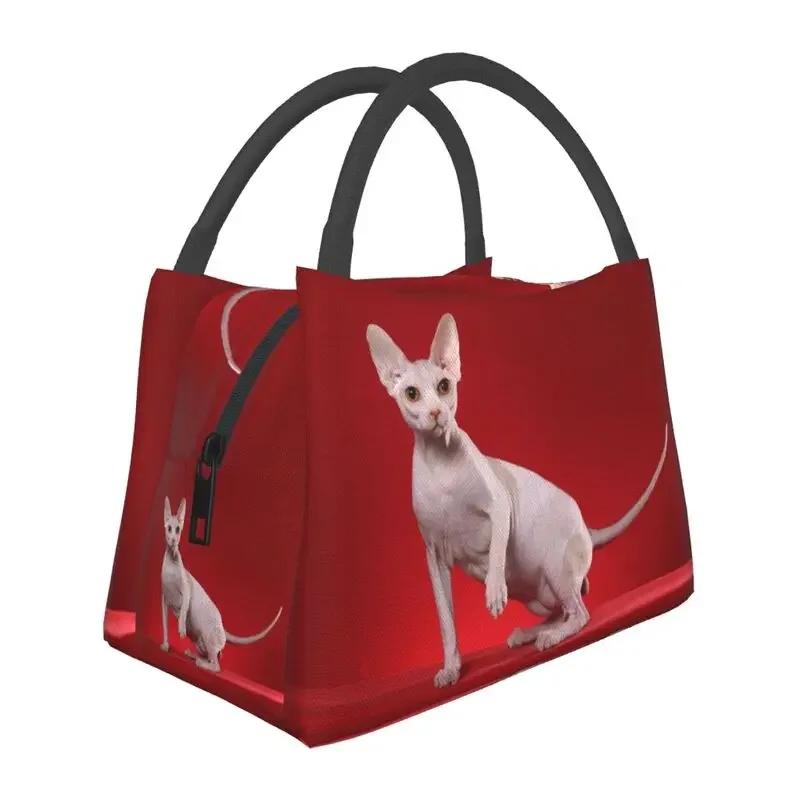 Geantă de prânz termoizolată pentru pisici Shpynx Femei Pisoi drăguț reutilizabilă Geantă de prânz pentru picnic în aer liber Depozitare cutie de mâncare