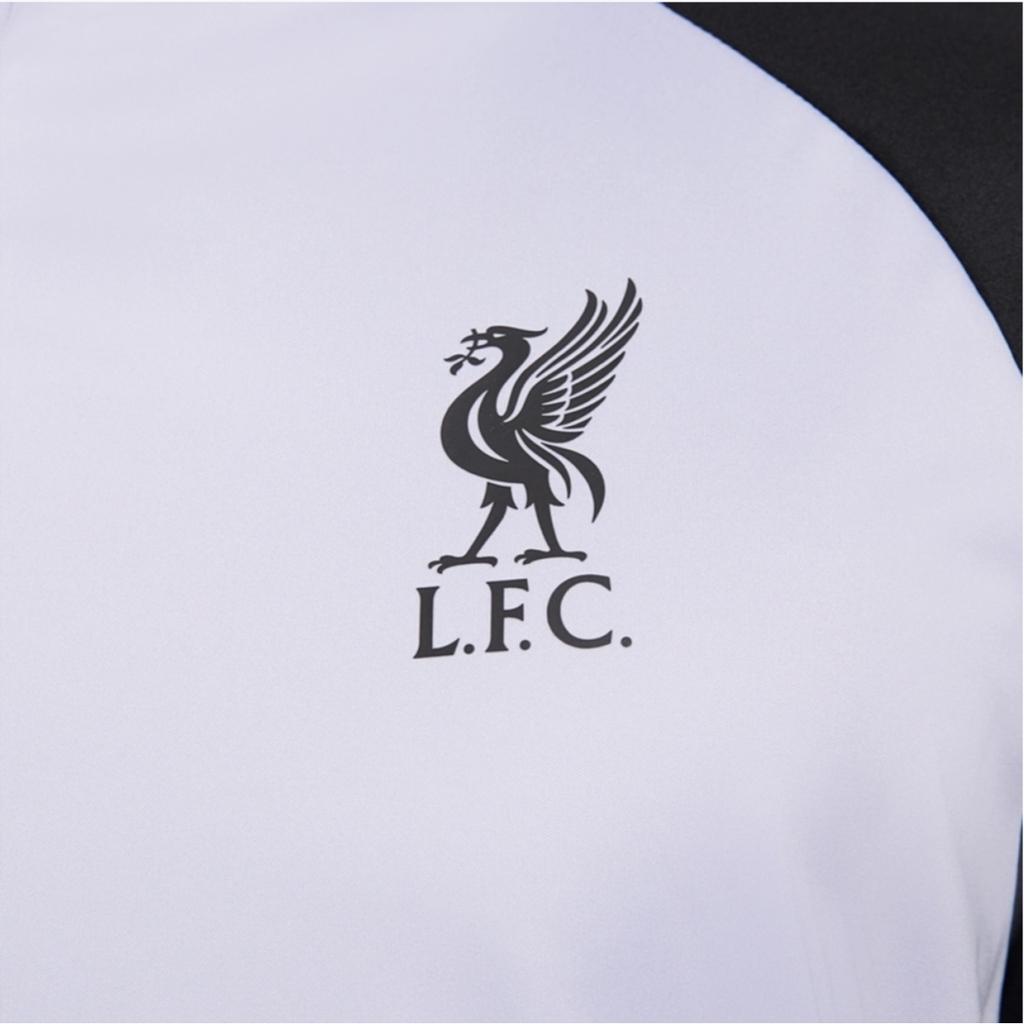 Nike Dri-FIT Strike Liverpool Fußball Trainings Color Block Logo Print Mock Neck Langarm T-Shirt Herren Oberteile Purple-Dawn FB6970-544