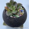 Retro Round Pot - Coarse Pottery, Breathable, Creative Succulent Planter, Simple Table Decoration for Green and Potted Plants.
