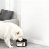 Heated Pet Bowl For Cats And Dogs With Antislip Base Temperature Control Dish For Cold Weather Indoor Outdoor Use
