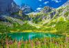 1000 Piece Puzzle Zelene Pleso. Tatra Mountains. Slovakia
