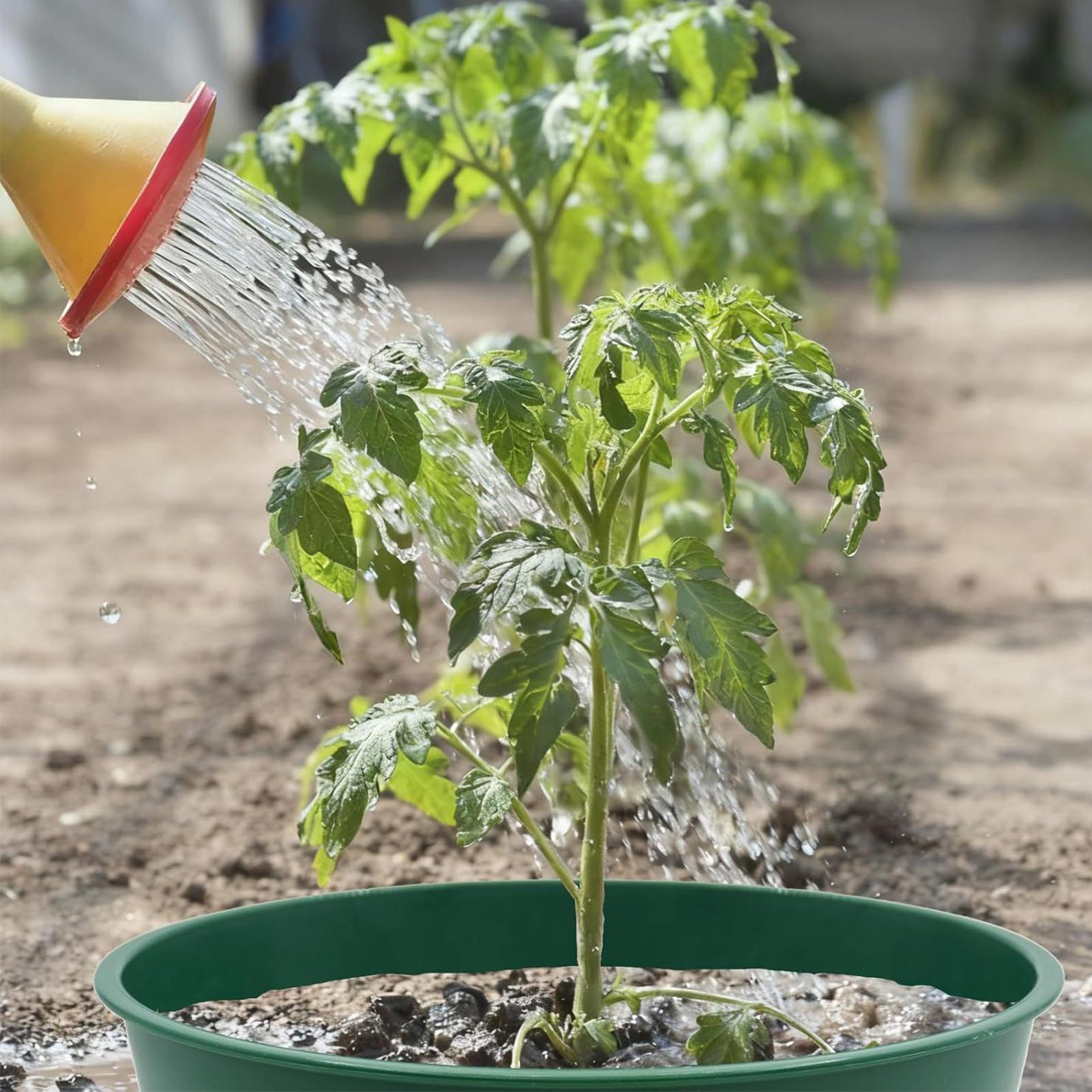 

Plant Isolation Growing Ring Garden Plant Ground Protection Rings Circular Plant Support Ring for Vegetables Flowers Trees CN