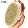 Wet and Dry Body Brush Exfoliator Soft Bristle Brush Naturally Exfoliates Dead Smooths Slows and Stimulates Lymphatic and Blood Flow by Scala 5 X