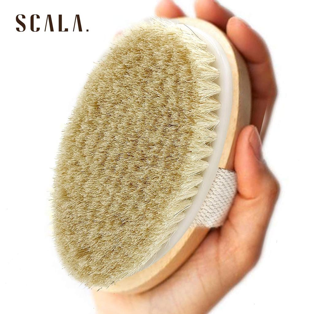 Wet and Dry Body Brush Exfoliator Soft Bristle Brush Naturally Exfoliates Dead Smooths Slows and Stimulates Lymphatic and Blood Flow by Scala 5 X