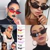 Trendy Women Cat Eye Design Sunglasses With Retro Small Eyeglass And Uv Protection