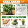 Broccoli Sprout Powder, 50g, Freeze-Dried, Contains 2500mg of Sulforaphane Per Bag, Dokimin