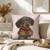 cartoon cute dachshund Pillow Case for Sofa Living Room Home office Decor Protective Cover
