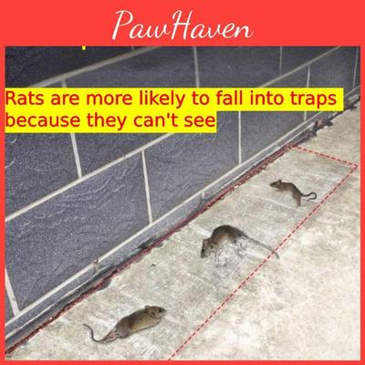Unsichtbare Transparente Mausefalle Matte Zum Fangen von Nagetieren für den Heimgebrauch Stark Haftendes Klebepad zur Rattenbekämpfung X 28cm)