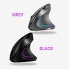 Vertical Mouse, 2.4G Rechargeable Upright Ergonomic Mouse with 3 Adjustable DPI Levels, RGB Fluorescent Light, Plug-in & Play, Gray