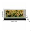 Imitation Mountain Road Diorama Box Ready To Use 1/64 Scale Car Display Case Clear View Miniature
