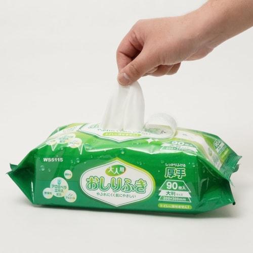 Wet Wipes for Adults, 90 Sheets, Thick, Large Size, Non-Flushable, WS5115