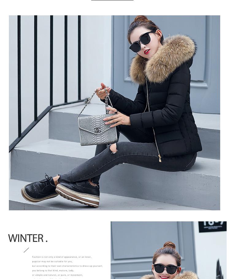 Korean Style Women's Short Slimming Cotton Padded Jacket - Autumn/Winter Outerwear for Cold Protection